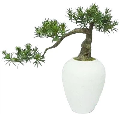 Czy mogę użyć sztucznego bonsai jako prezentu?