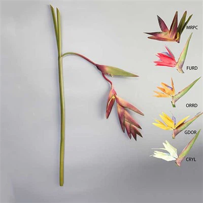 Naturalny dotyk tropikalnego kwiatu