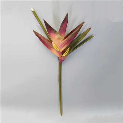 Prawdziwie wyglądający tropikalny kwiat