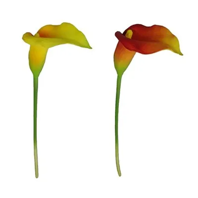 Kwiaty Pu z prawdziwym dotykiem